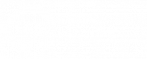 logowhite nvsjj