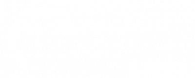 logowhite nvsjj